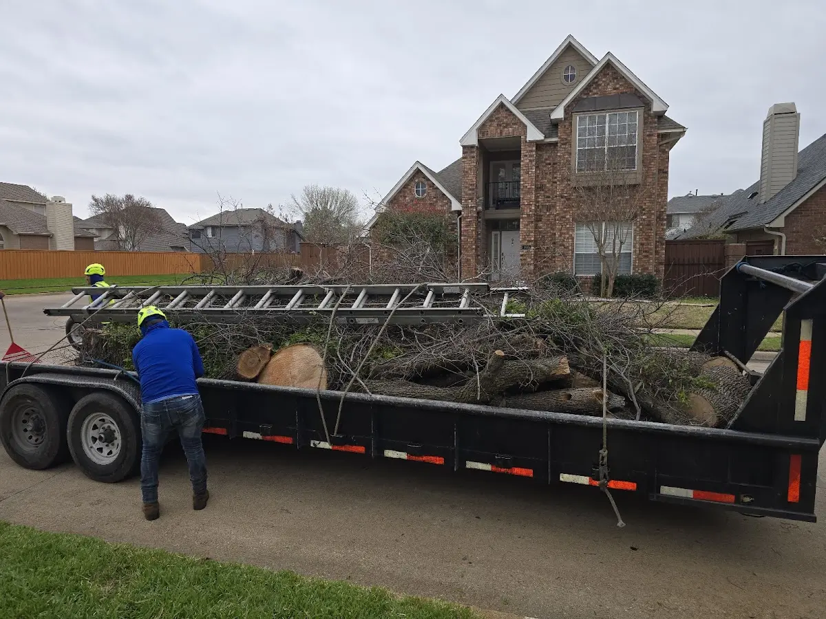Expert Tree Fertilization with proper safety equipment in Sunburst